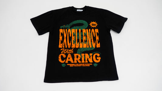 Excellence with Caring Tee (FAMU Inspired)
